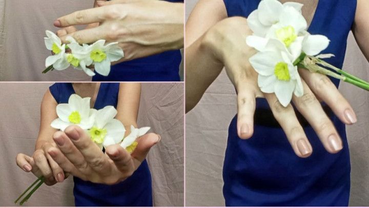 Delicate flowers at hand