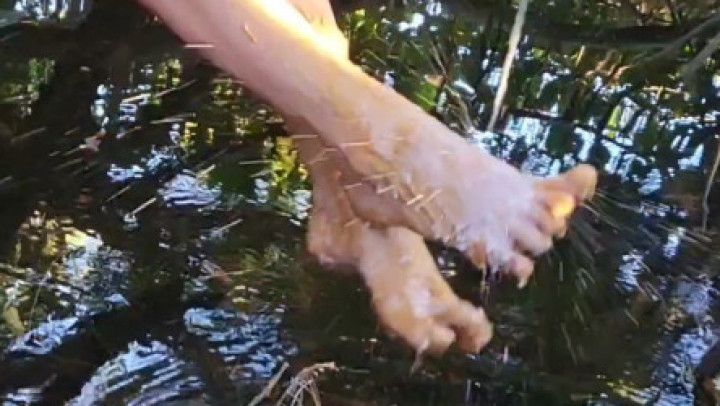 Barefoot PB&amp;J with milk splosh