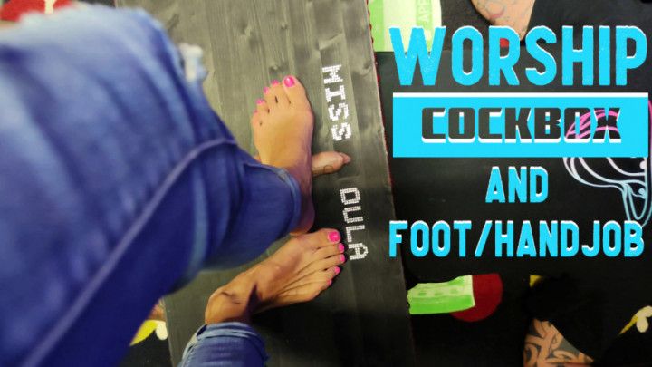 Worship, cockbox and foot/handjob