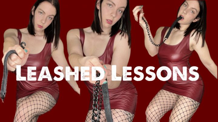 Leashed Lessons