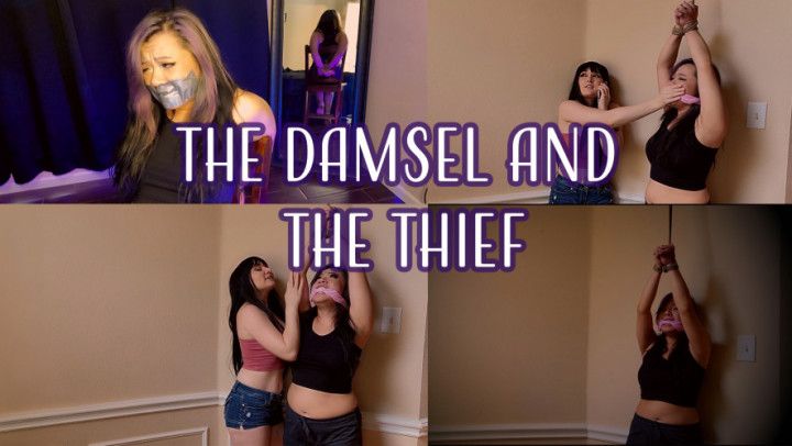 The Damsel and the Boyfriend Thief