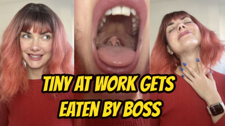 Tiny At Work Gets Eaten By Boss