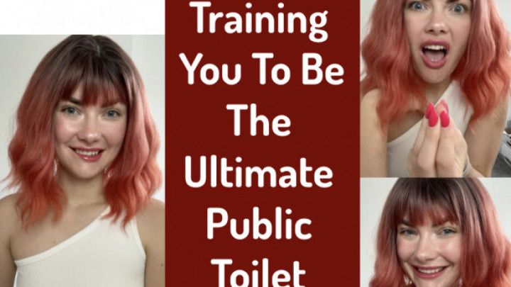 Training You To Be The Ultimate Public Toilet Slave