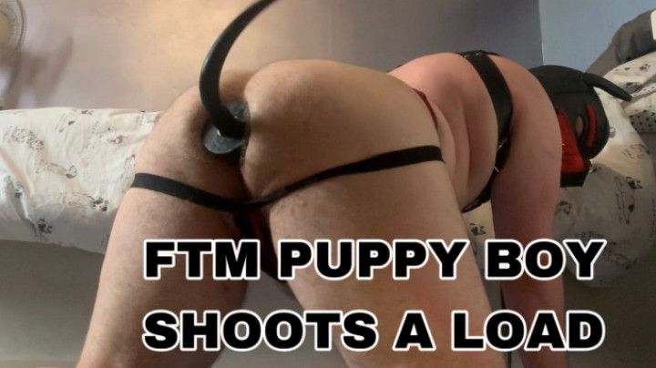 FTM PUPPY BOY SHOOTS A LOAD