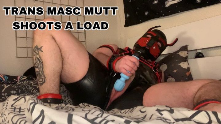 TRANS MASC MUTT SHOOTS A LOAD