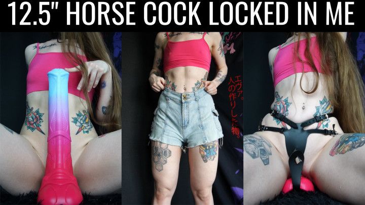 12.5&quot; horse cock locked in my pussy w/ chastity thong