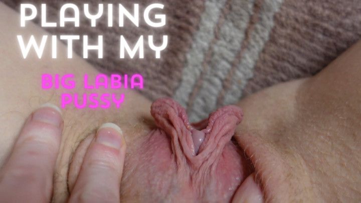 Playing with my big labia pussy from my POV