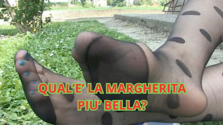 QUAL'E' LA MARGHERITA PIU' BELLA