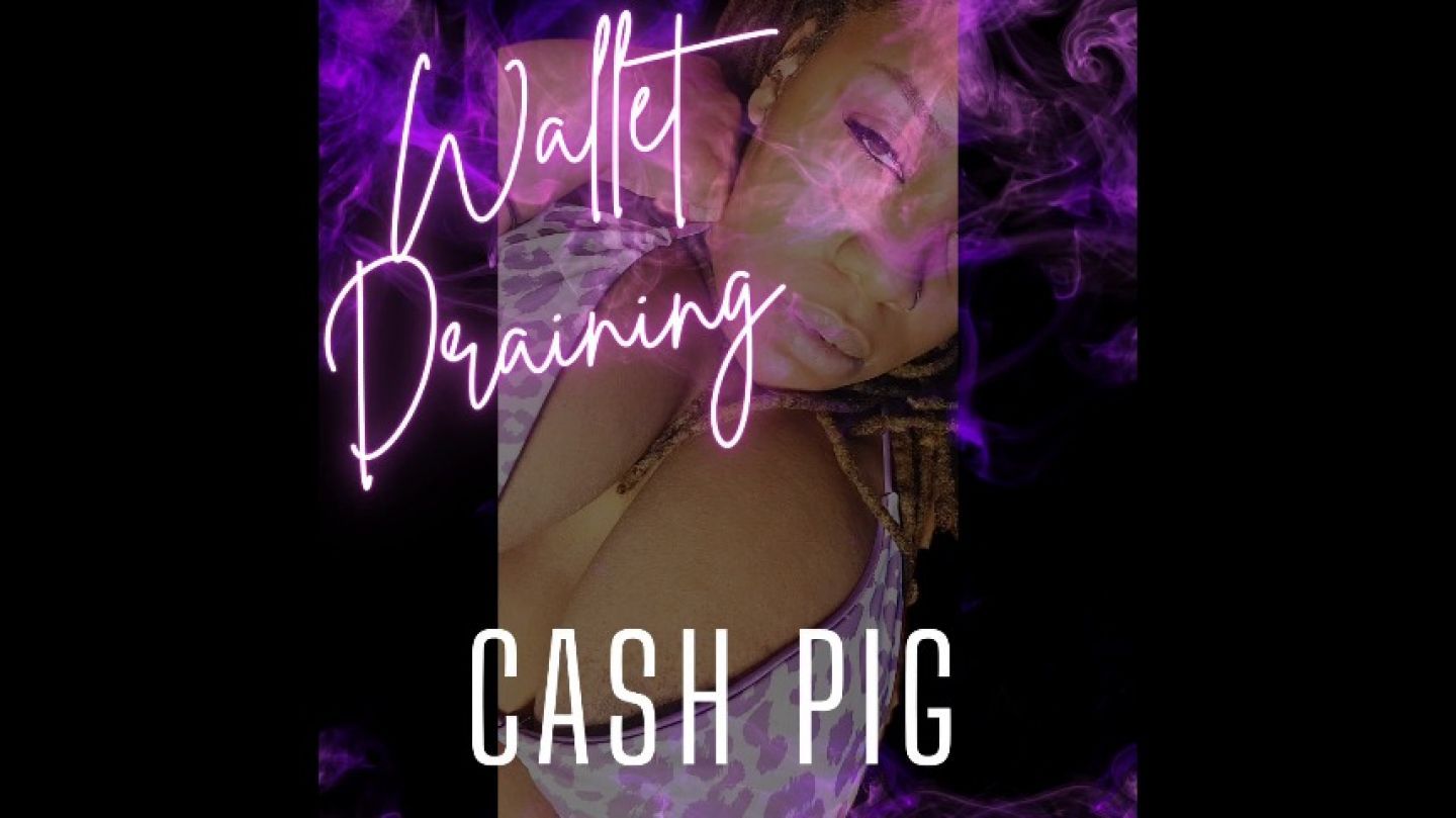 Wallet Draining Cash Pig