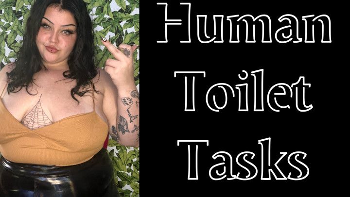 Human toilet tasks