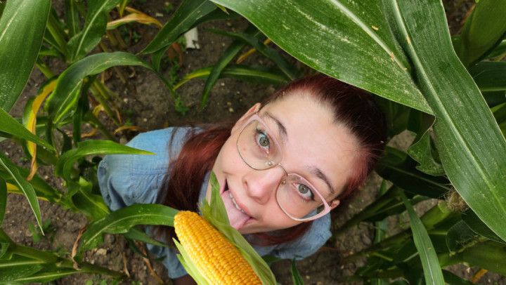 Blowjob and facial in a corn field