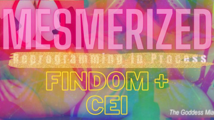 Mesmerize FINDO-CEI 4 Mommy