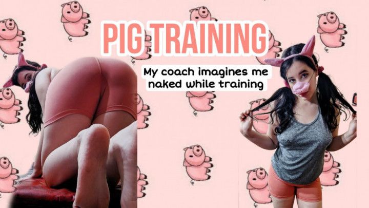 Pig training