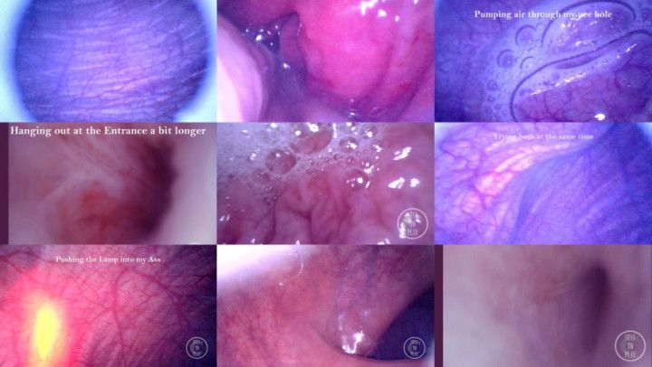 FREE COMPILATION: Endoscope in my Dick, Ass and Bladder