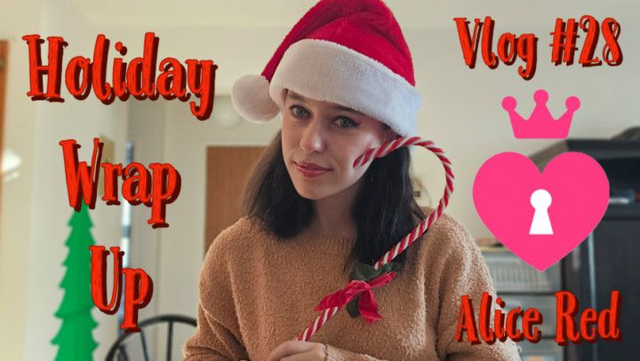 Vlog #28 Holiday Wrap Up