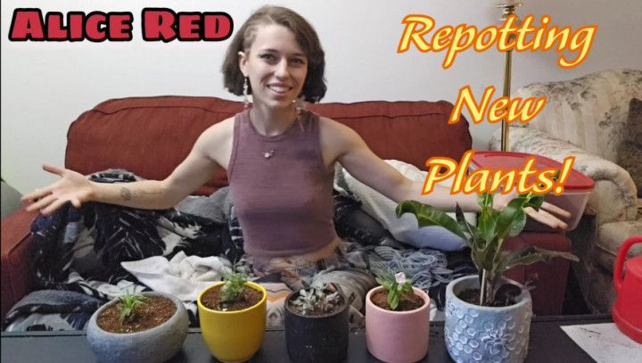 Repotting New Plants