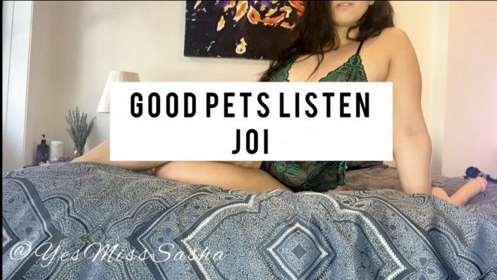 Good Pets Listen: Part 1