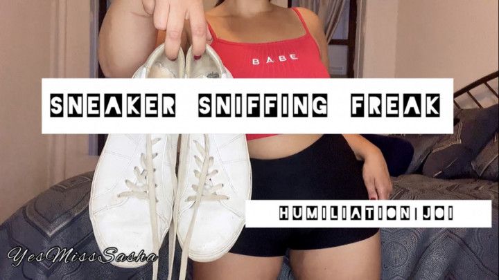 Sneaker Sniffing Freak