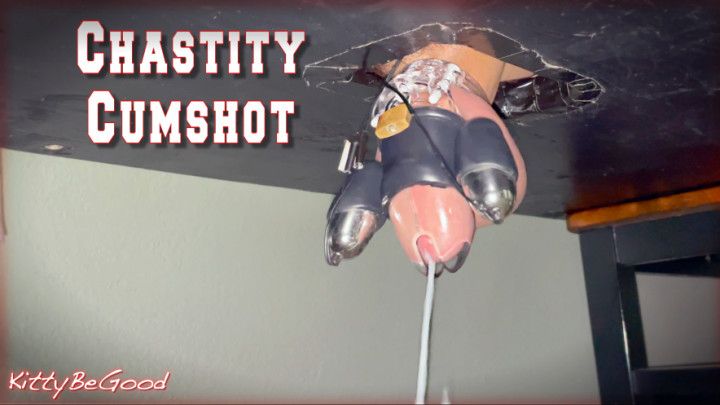 Cum In Chastity Cage Hands Free Milking