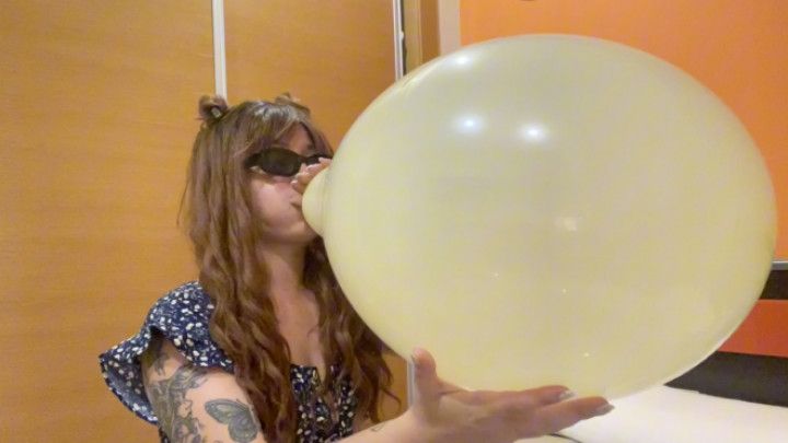 Blowing a big yellow balloon to burst