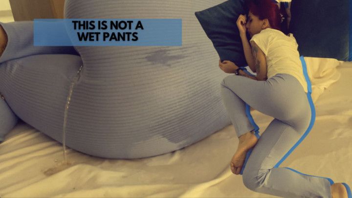 THIS IS NOT A WET PANTS