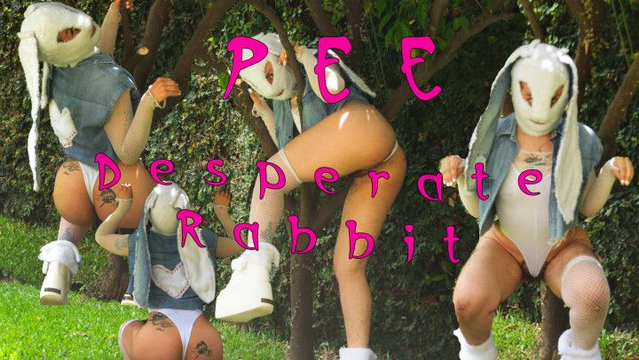 Pee, Desperate Rabbit