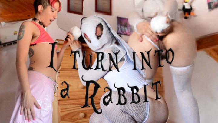 I turn into a rabbit