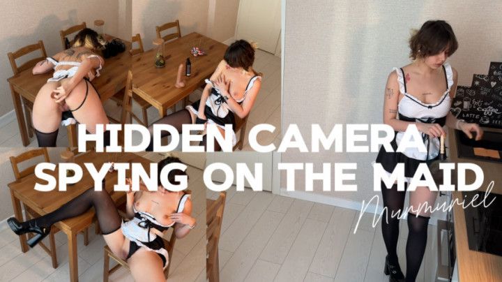 Hidden camera spying on the maid