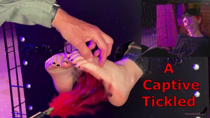 A Captive Tickled - Smokin Rose Foot Tickling Slave Tickling