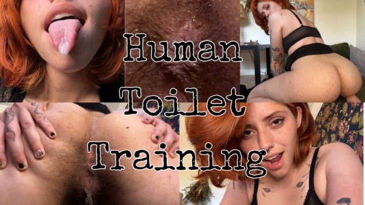 Human Toilet Training