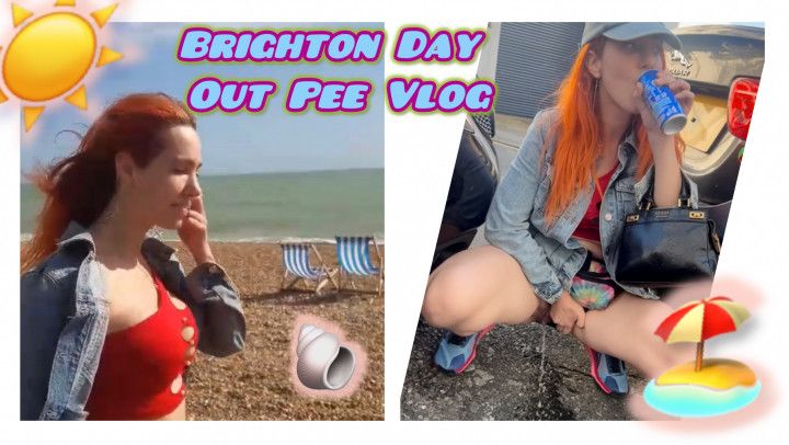 Piss Vlog Toileting in Brighton UK Public