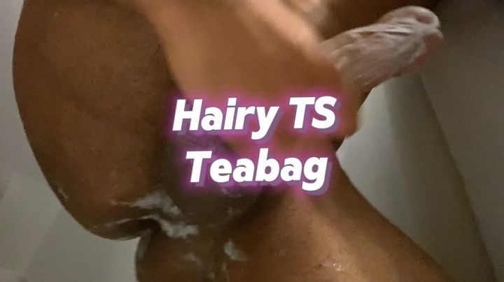 Hairy TS Teabag