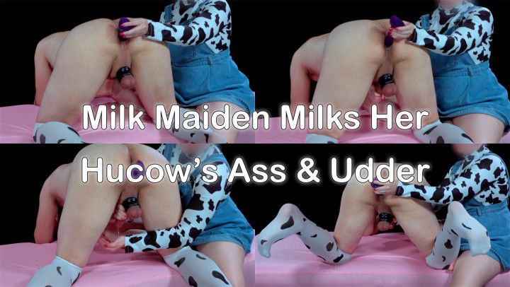 Milk Maiden Milks Her Hucow's Ass And Udder