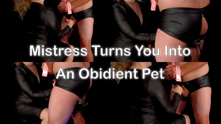 Mistress Turns You Into An Obedient Pet