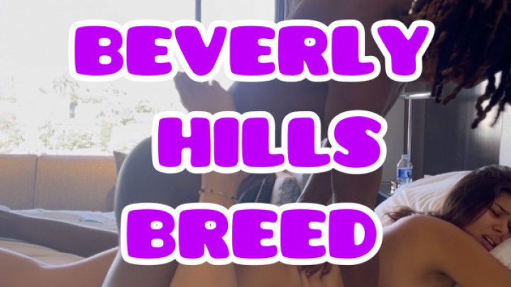 Beverly Hills Breed