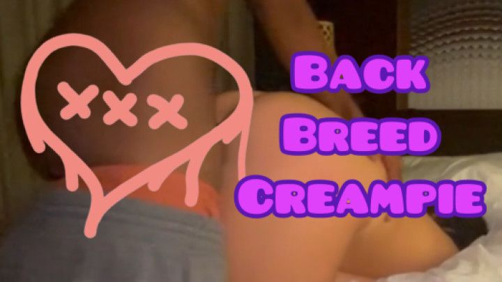 Back Breed Creampie