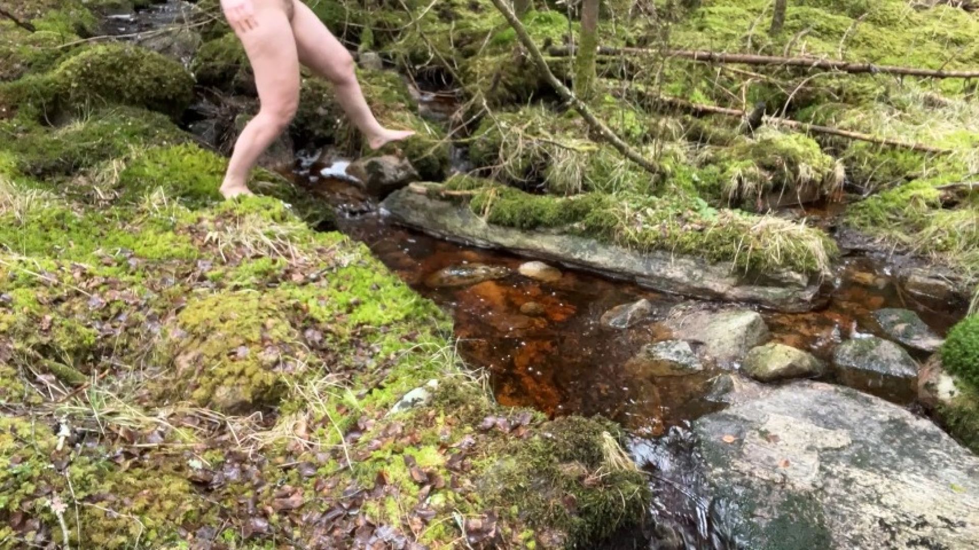 A quick barefoot walk in the forest