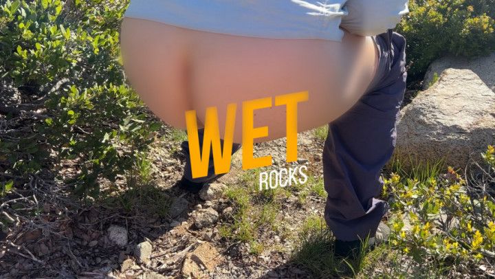 Wet Rocks