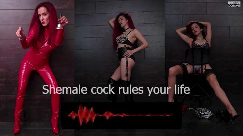 Shemale Cock Rules Your Life