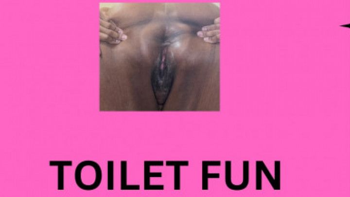 Toilet Fun