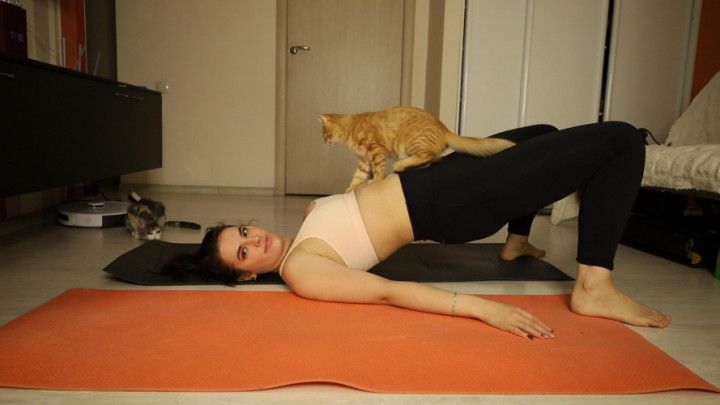 Cute yoga with kittens