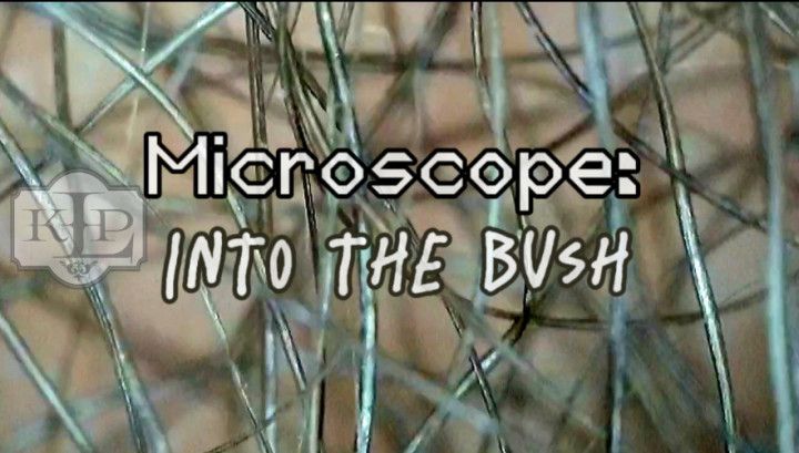 Microscope: Into the Bush