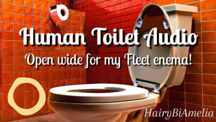 Emptying My Fleet Enema into You, My Human Toilet AUDIO