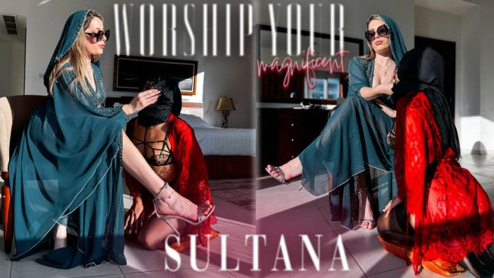 Worship Your Magneficent Sultana