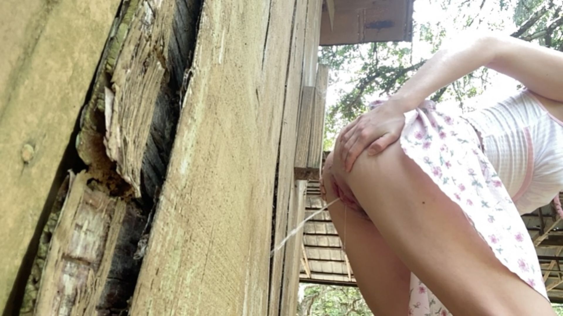 Pissing on the barn wall