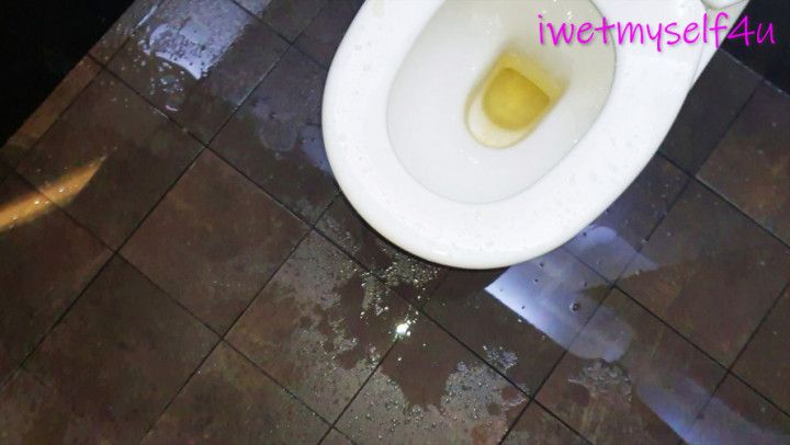 HUGE Piss Accident In Public Toilet Stall