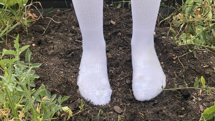 Garden Dirty Sock Play &amp; Tease