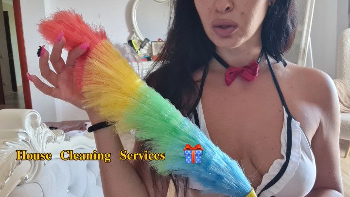 HOUSE CLEANING SERVICE