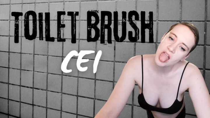 Toilet Brush CEI