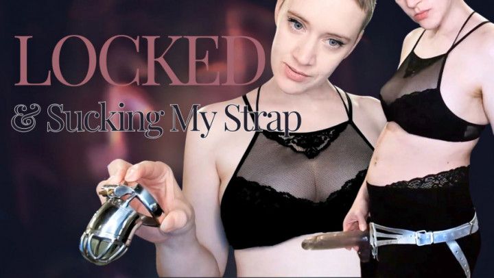 Locked and Sucking My Strap